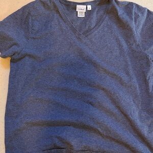 L.L. Bean Women's Short Sleeve V-Neck Tee in Heather Blue